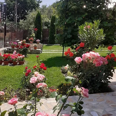 Pensiunea Casa Rares