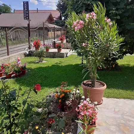 Pensiunea Casa Rares