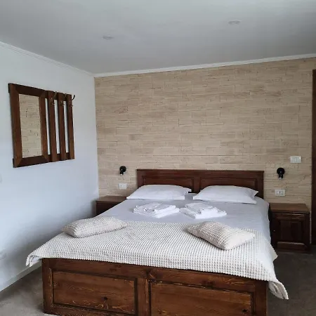 Country house Pensiunea Casa Rares *